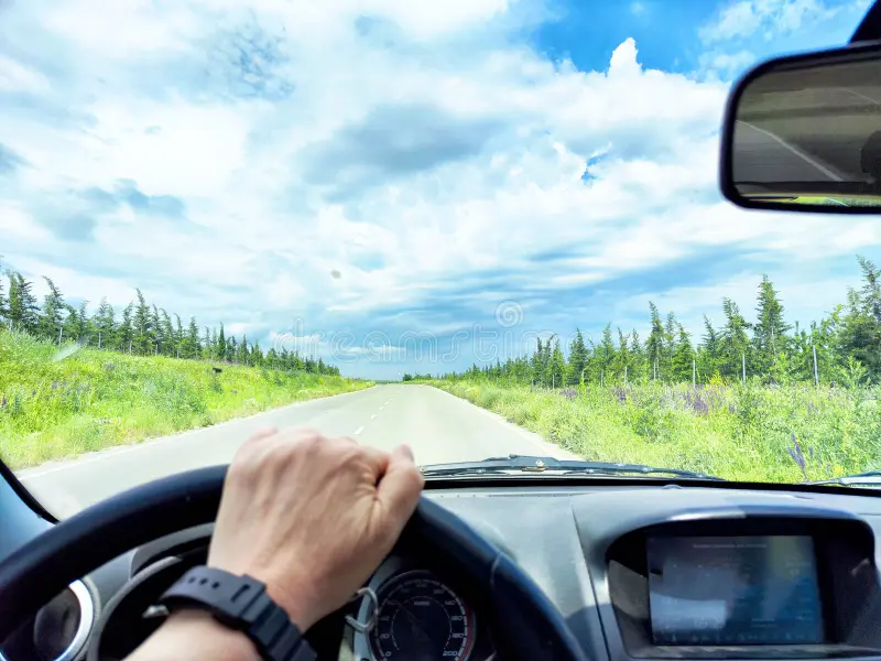 Sunshine State, Smart Choices: Driving Calm and Free in Florida
