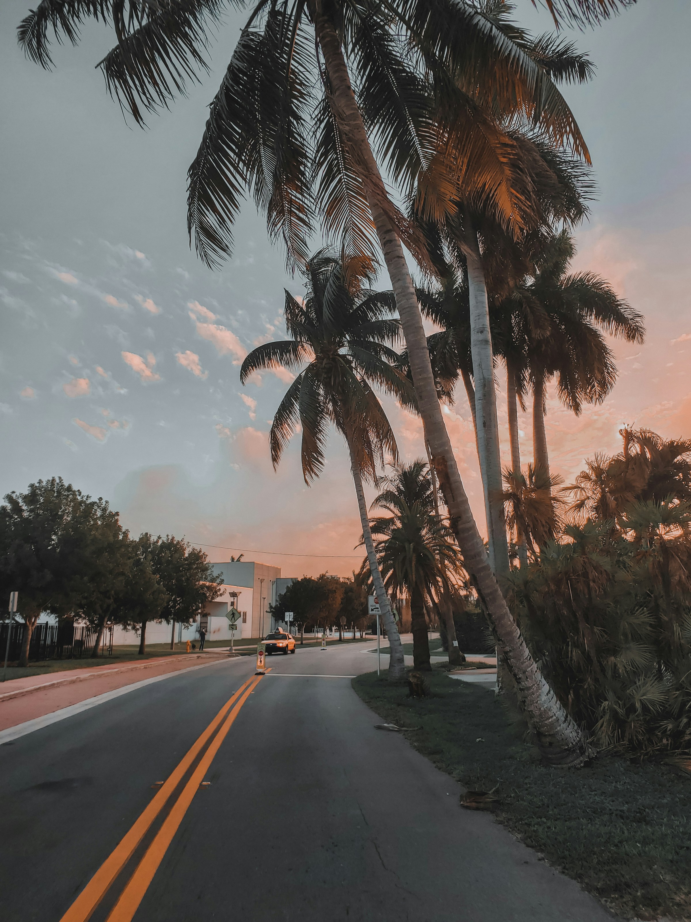 Sunshine Roads Smart Choices Driving Free in Florida