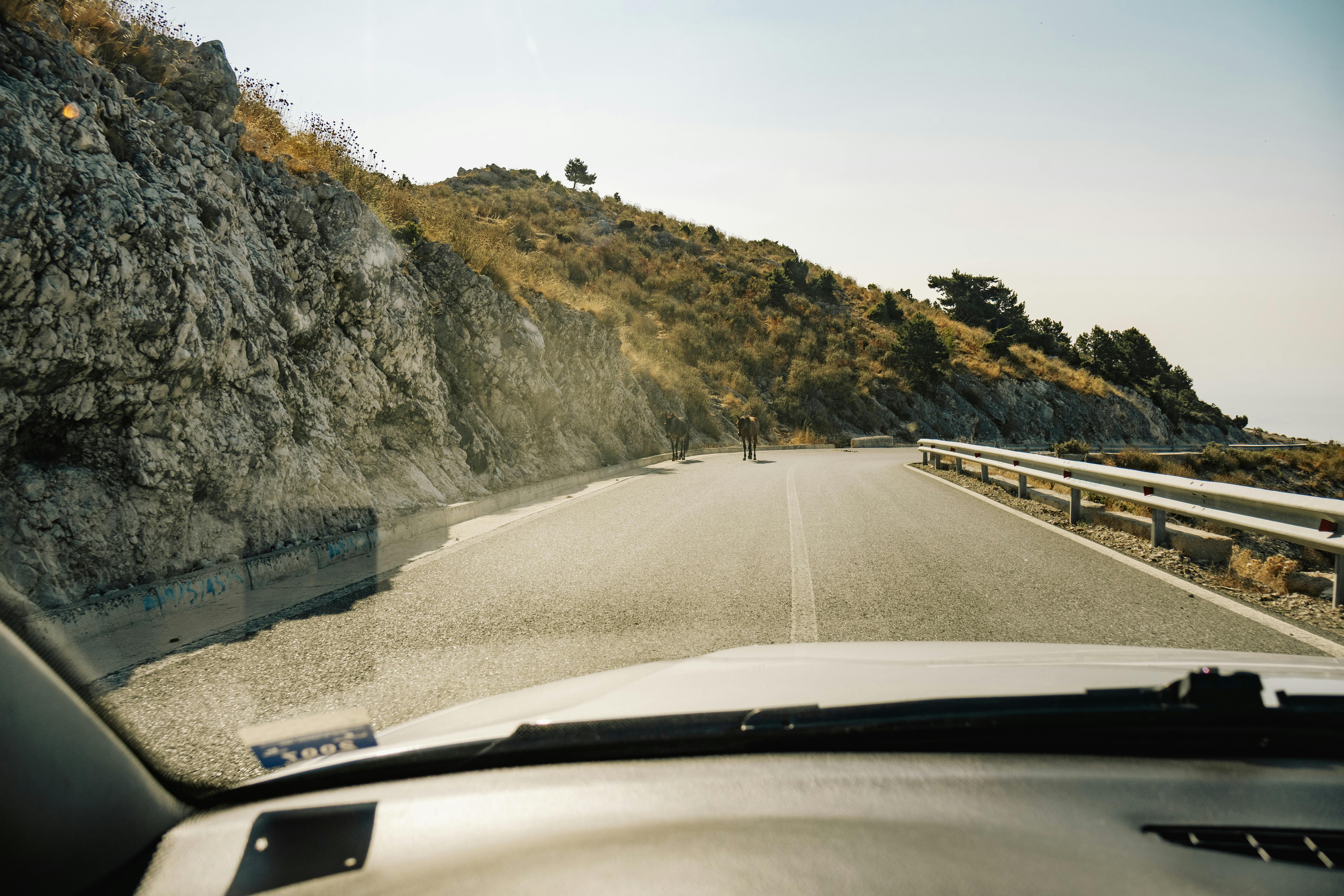 Staying Focused Behind the Wheel: Why Avoiding Distracted Driving Matters in Oregon