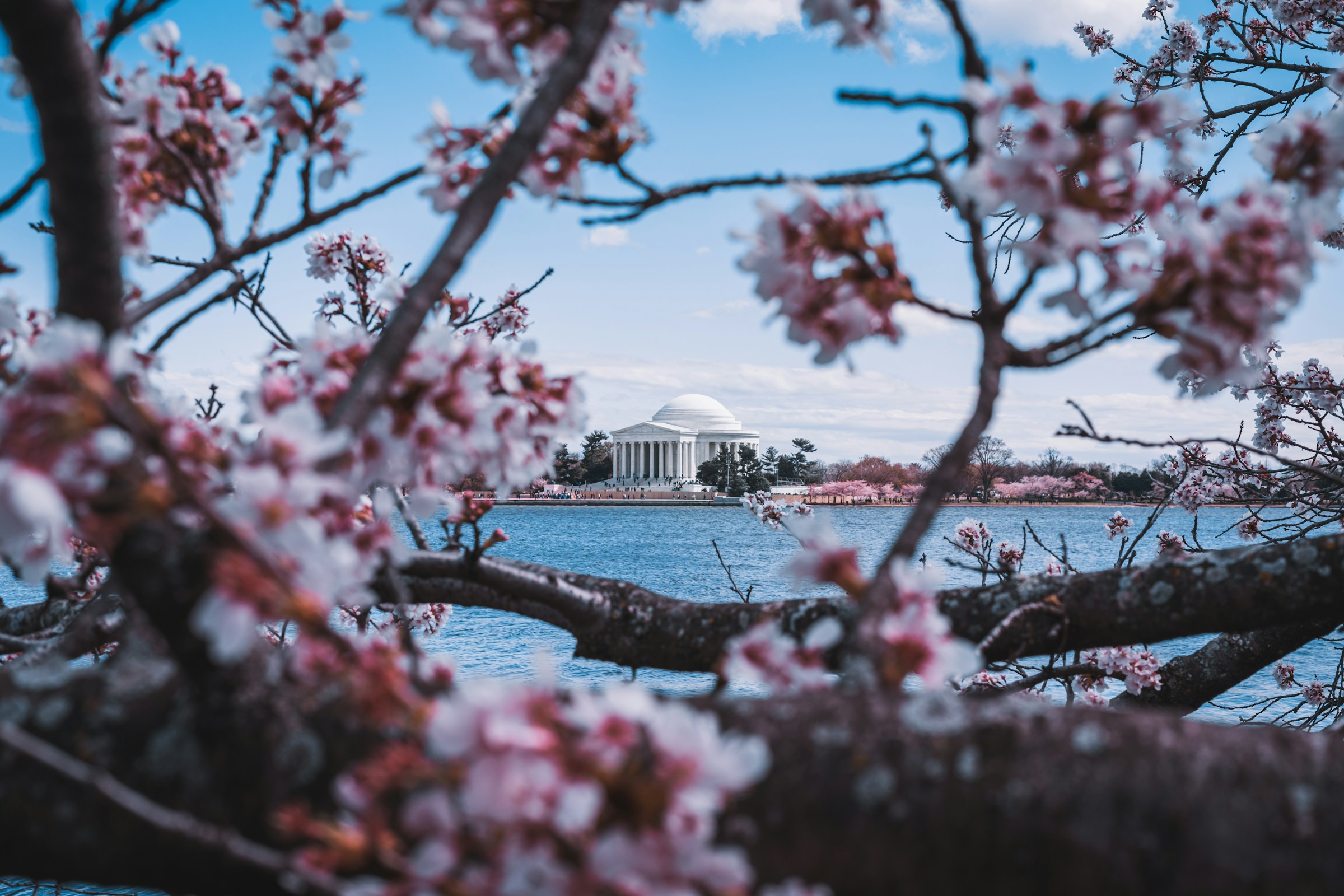 Washington, D.C. Driving Laws and Traffic Safety Priorities to Watch in 2026