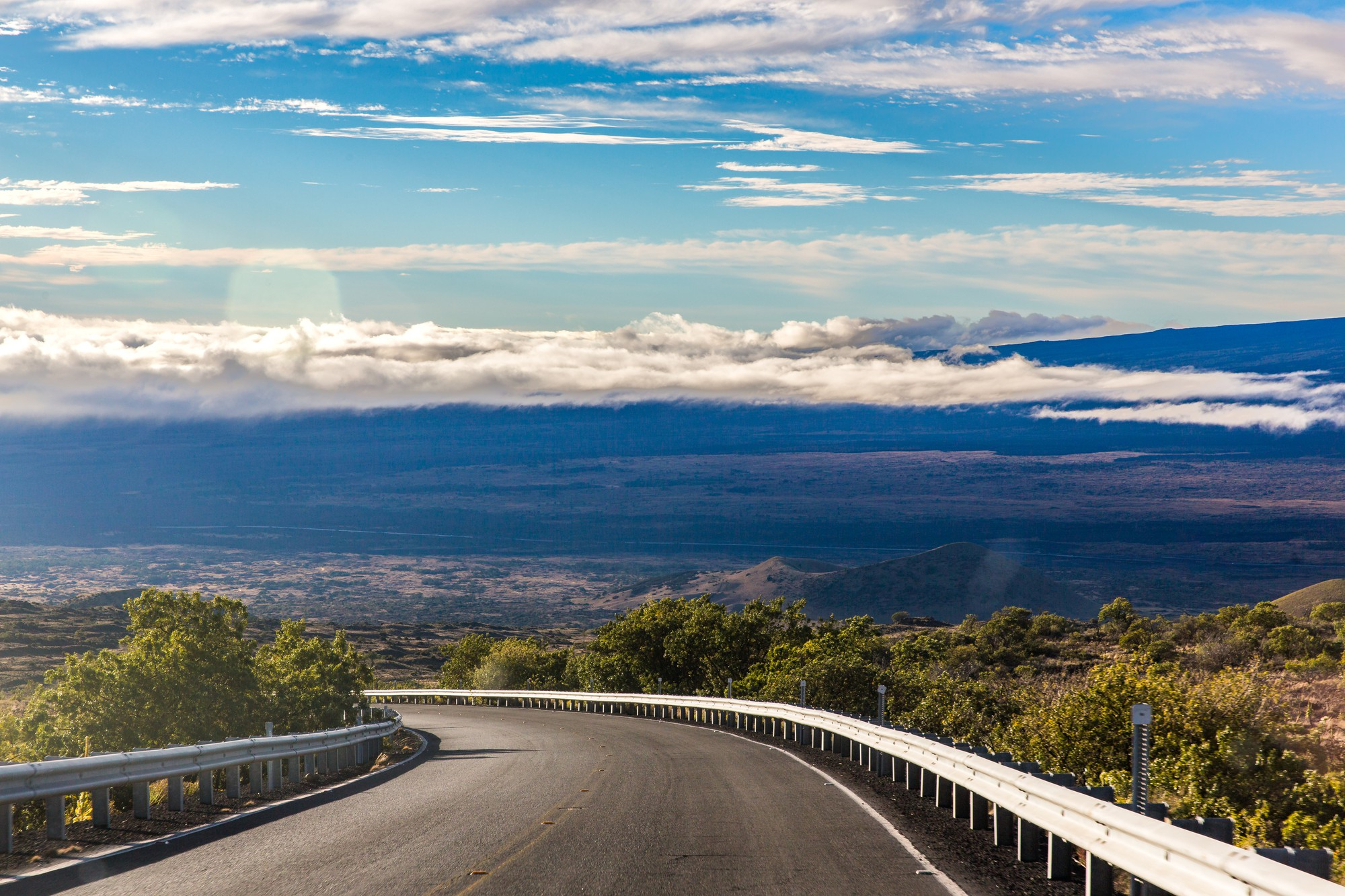 A Florida Driver’s Guide to Handling a Traffic Ticket the Right Way