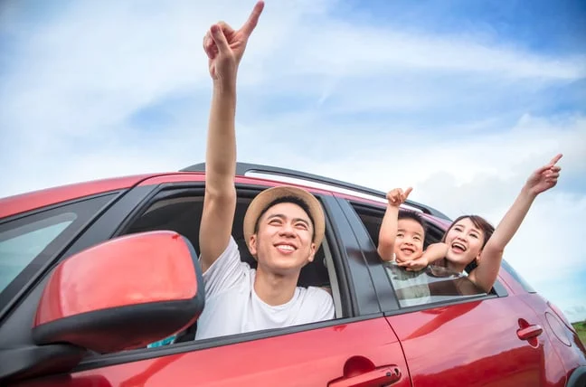Open Roads, Clear Choices: Driving Responsibly in Idaho