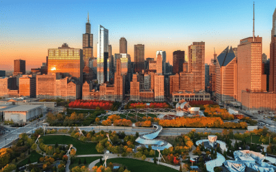A Supportive and Convenient Way to Start Driving in Illinois article image