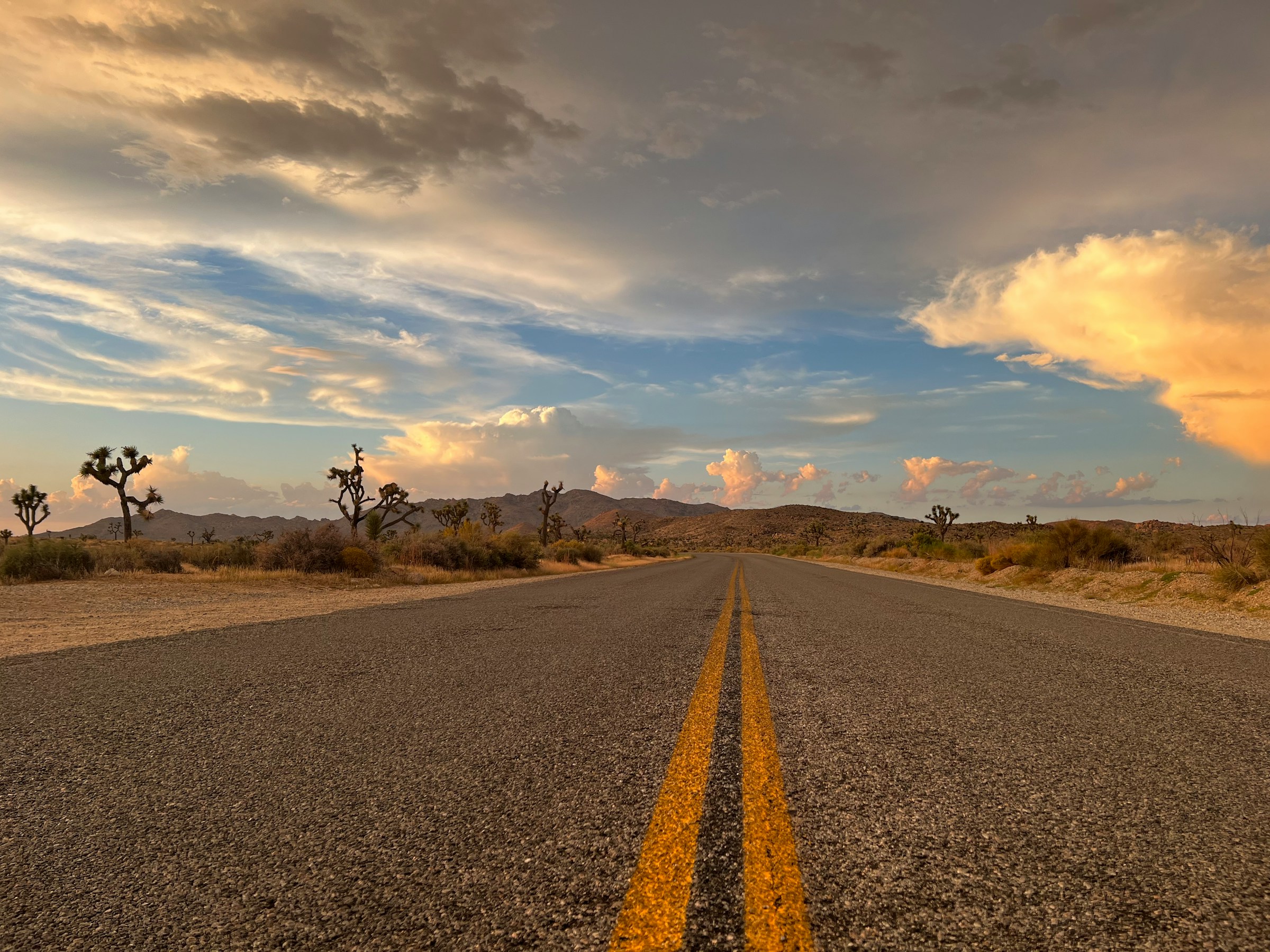 Florida Freedom Behind the Wheel: How Responsible Driving Keeps Life Moving Forward