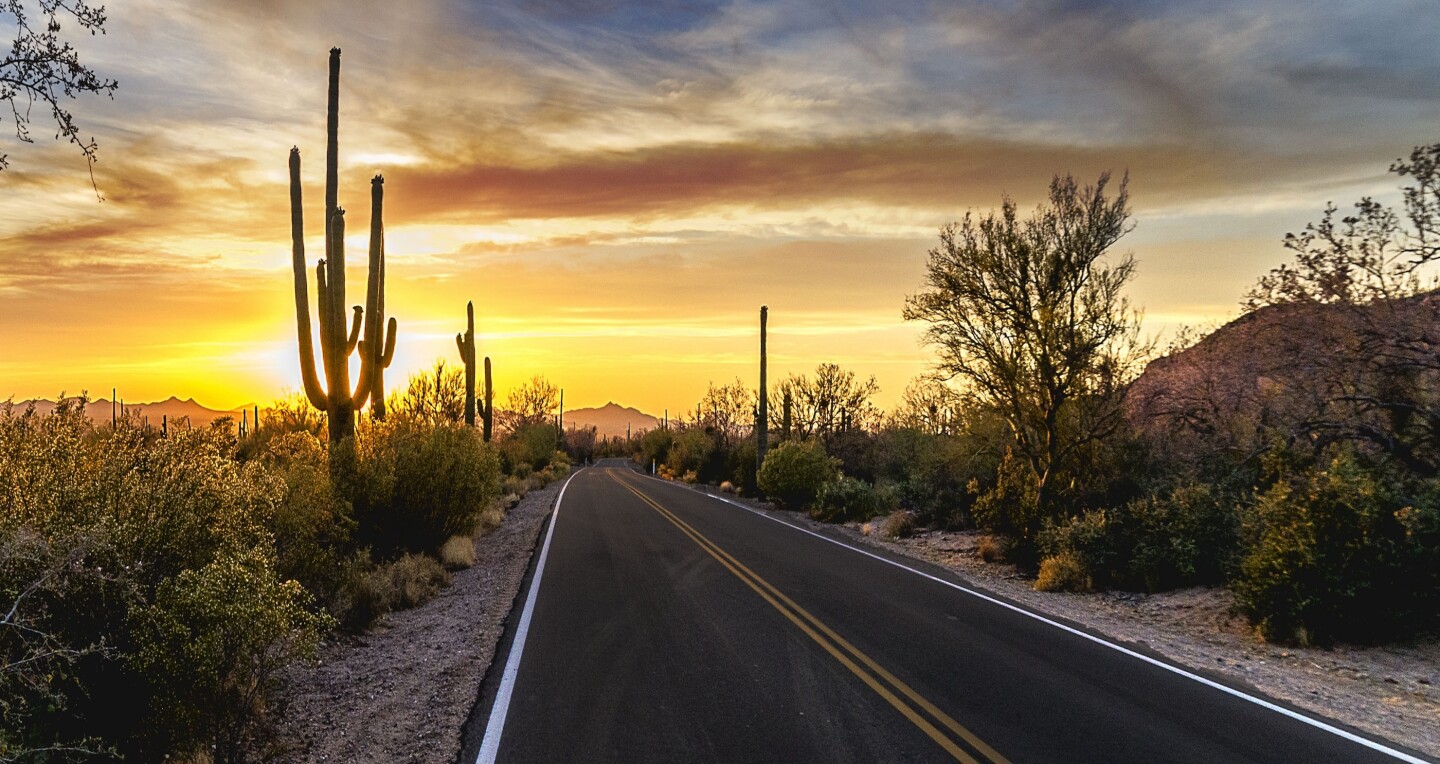 Cruising with Confidence: Smart Driving and Real Freedom in California