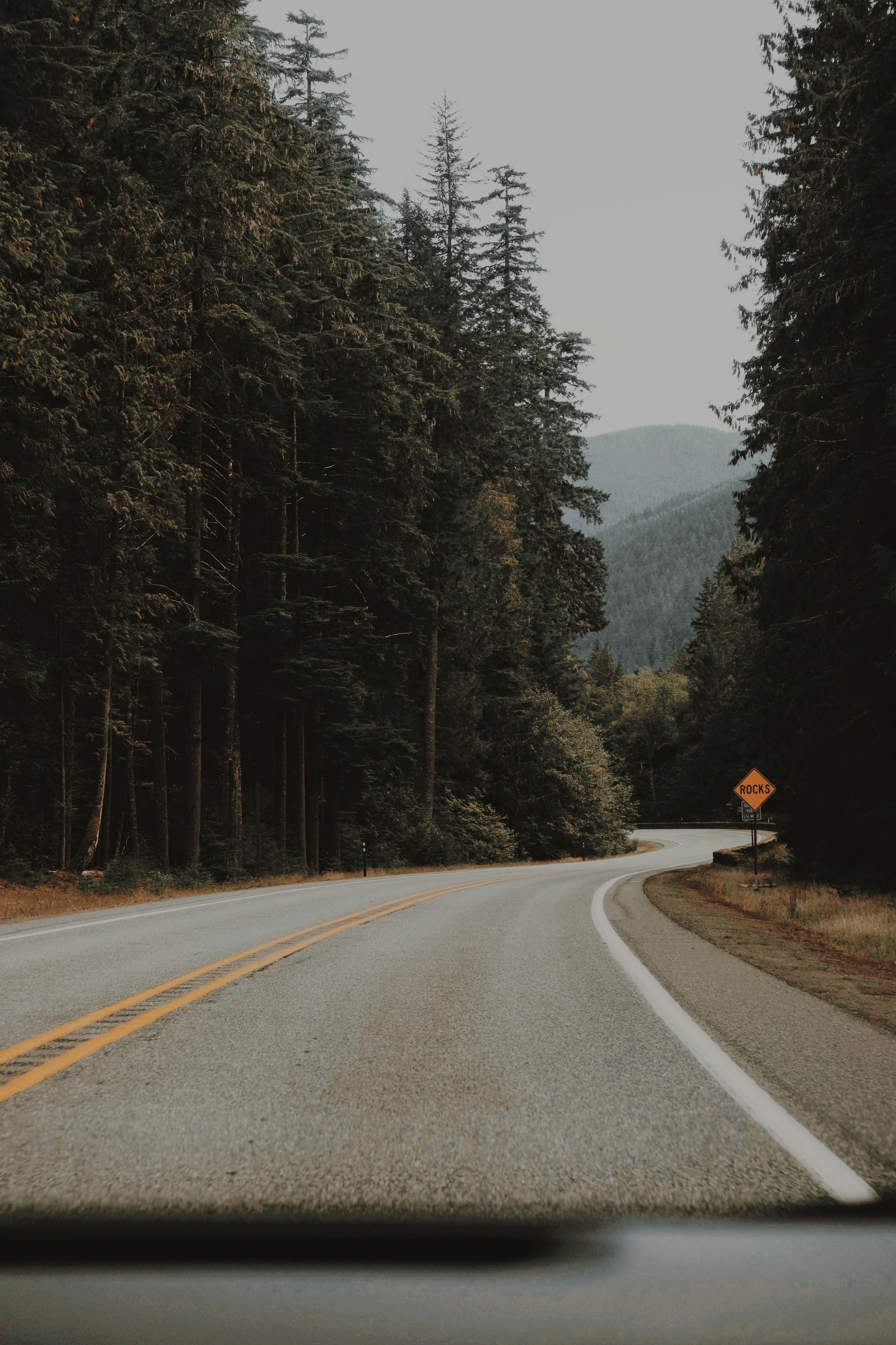 Washington Expands Approved Traffic School Courses for Better Driver Compliance