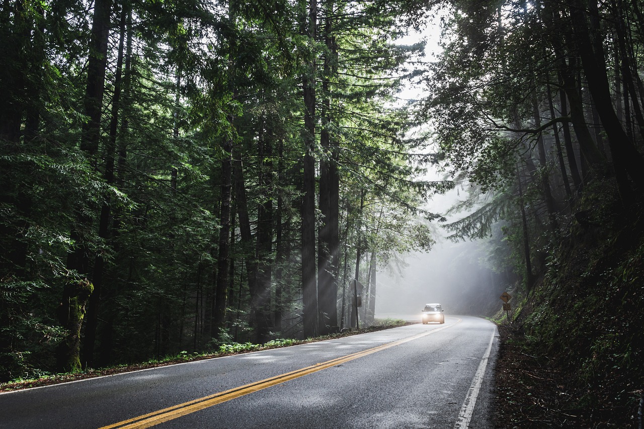 Navigating a Traffic Ticket in Louisiana: A Driver’s Step by Step Guide