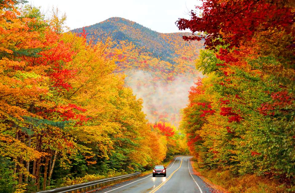How New Hampshire Drivers Can Respond to a Traffic Ticket