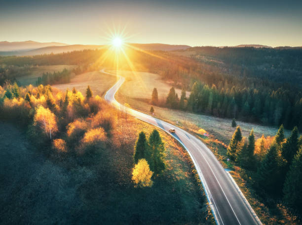 Stress-Free Traffic School Starts Online article image