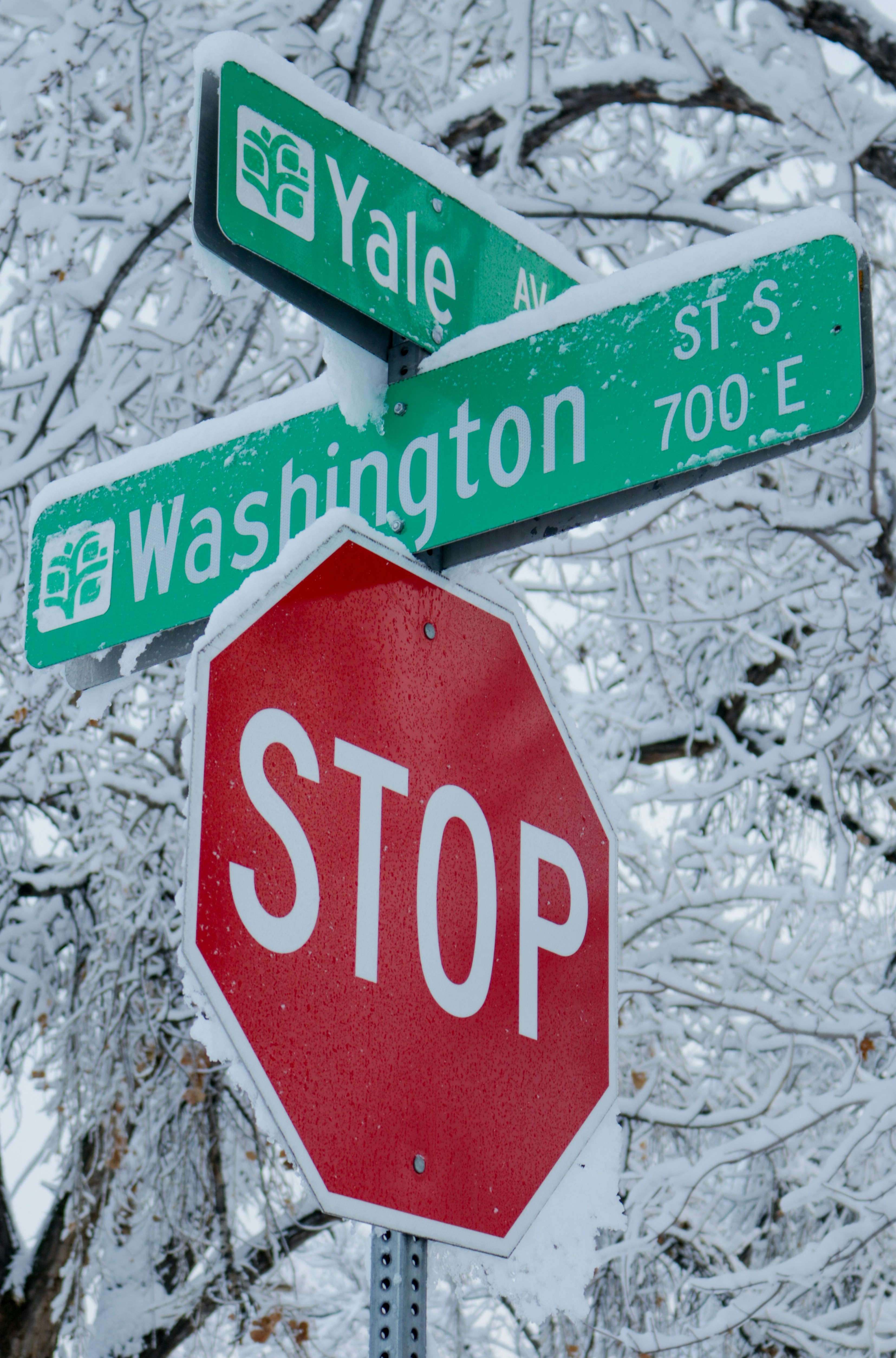 Washington’s New Traffic Education Law: What Drivers Need to Know