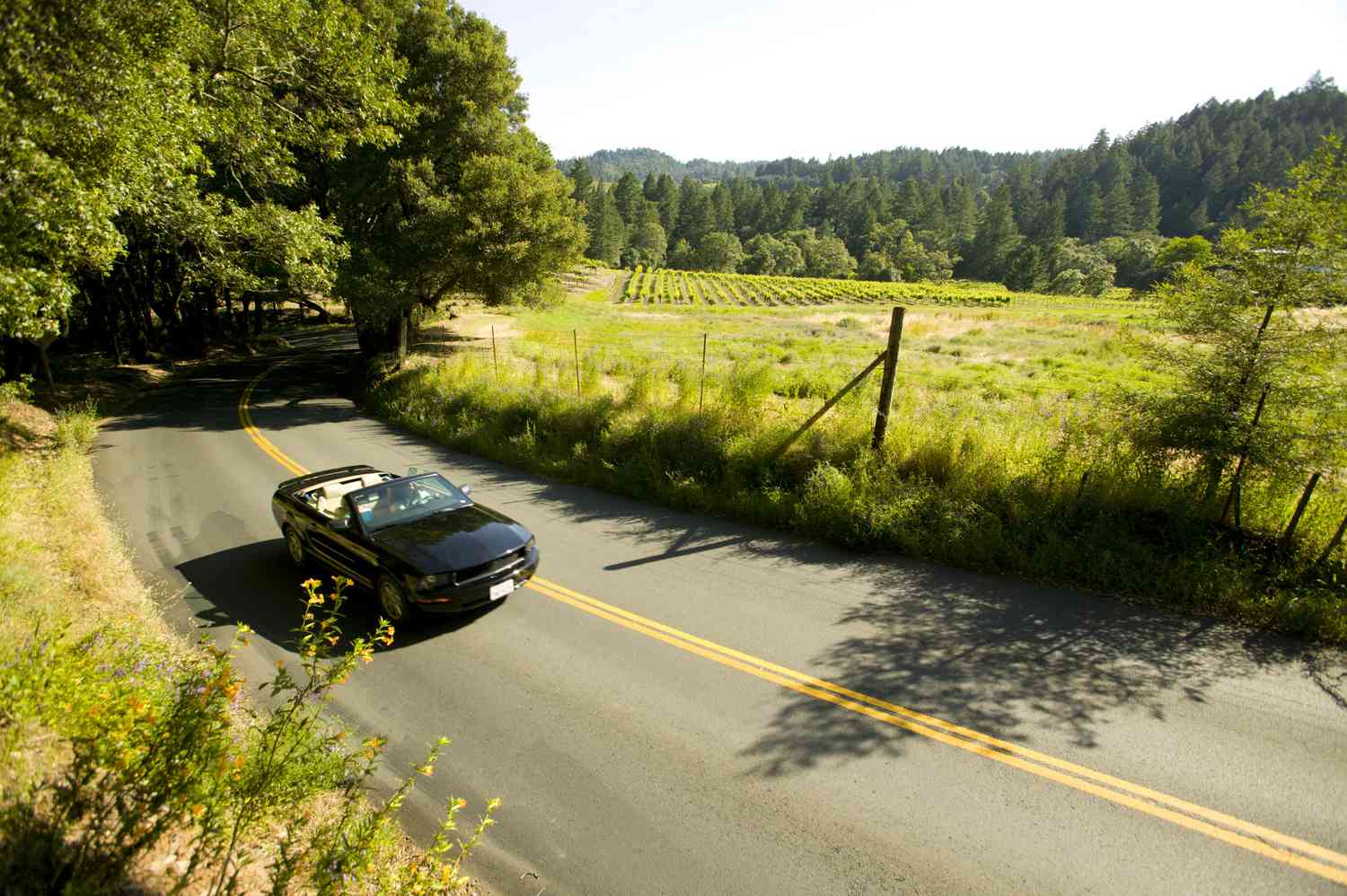 Garden State Focus: Driving Smart, Staying Calm, and Protecting Your Freedom