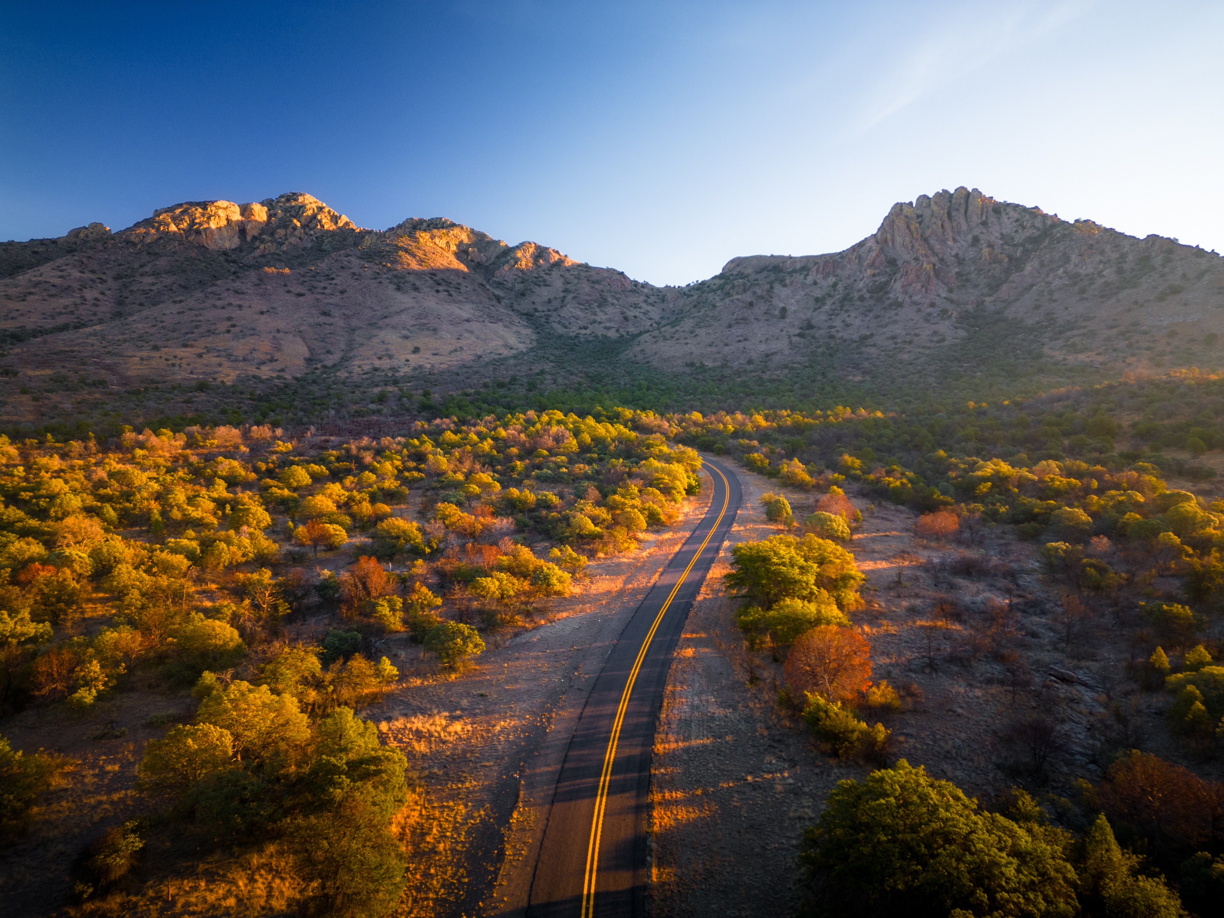 How Online Defensive Driving Simplifies Life for Texas Drivers