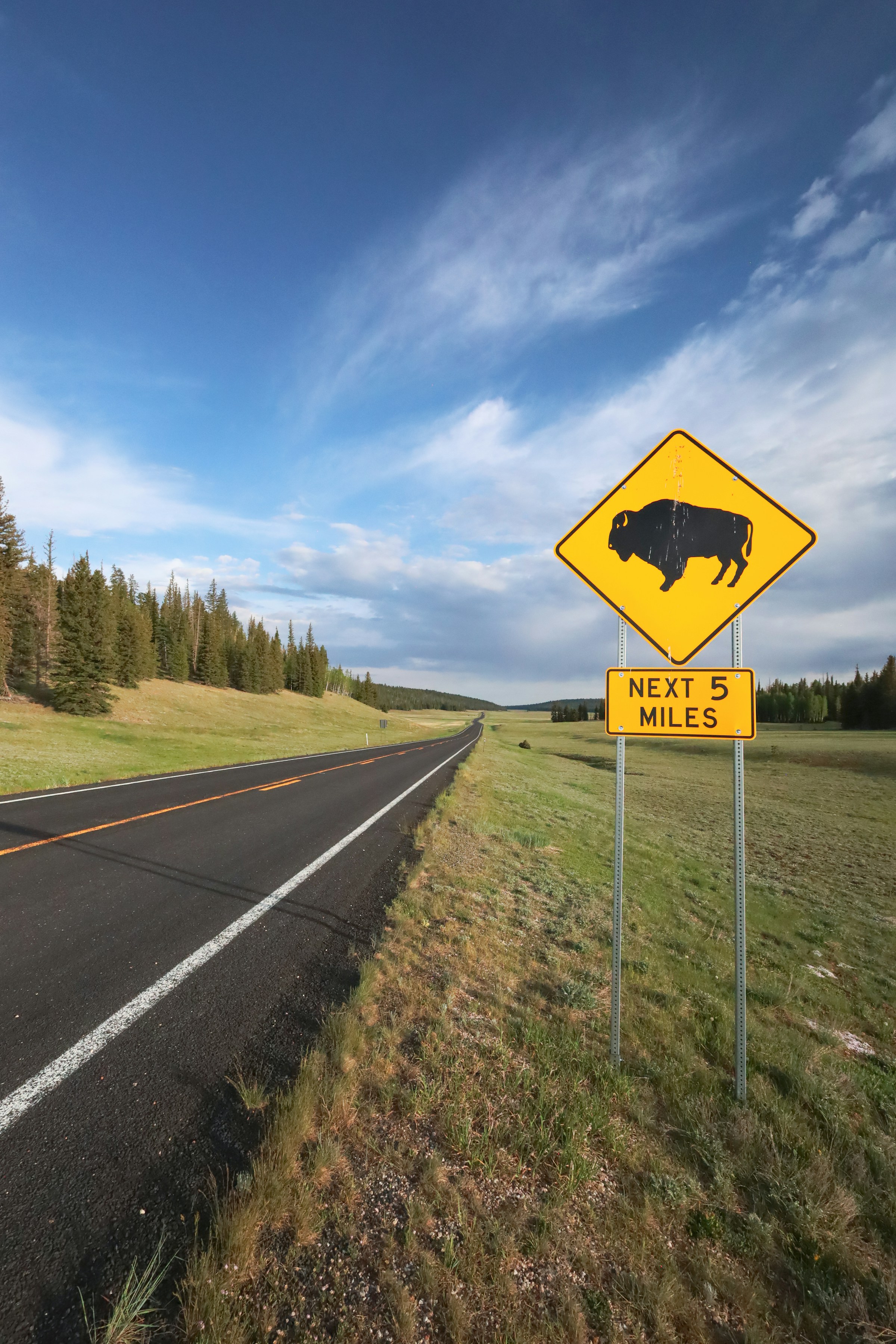 Understanding Virginia Driver Improvement Clinics and Compliance Requirements