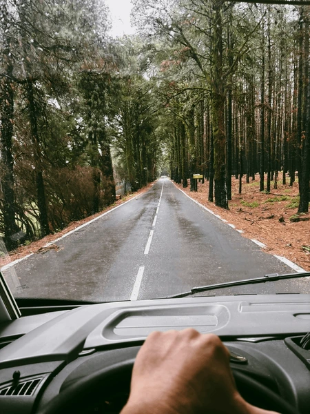 Rain or Shine: Driving with Confidence in Washington