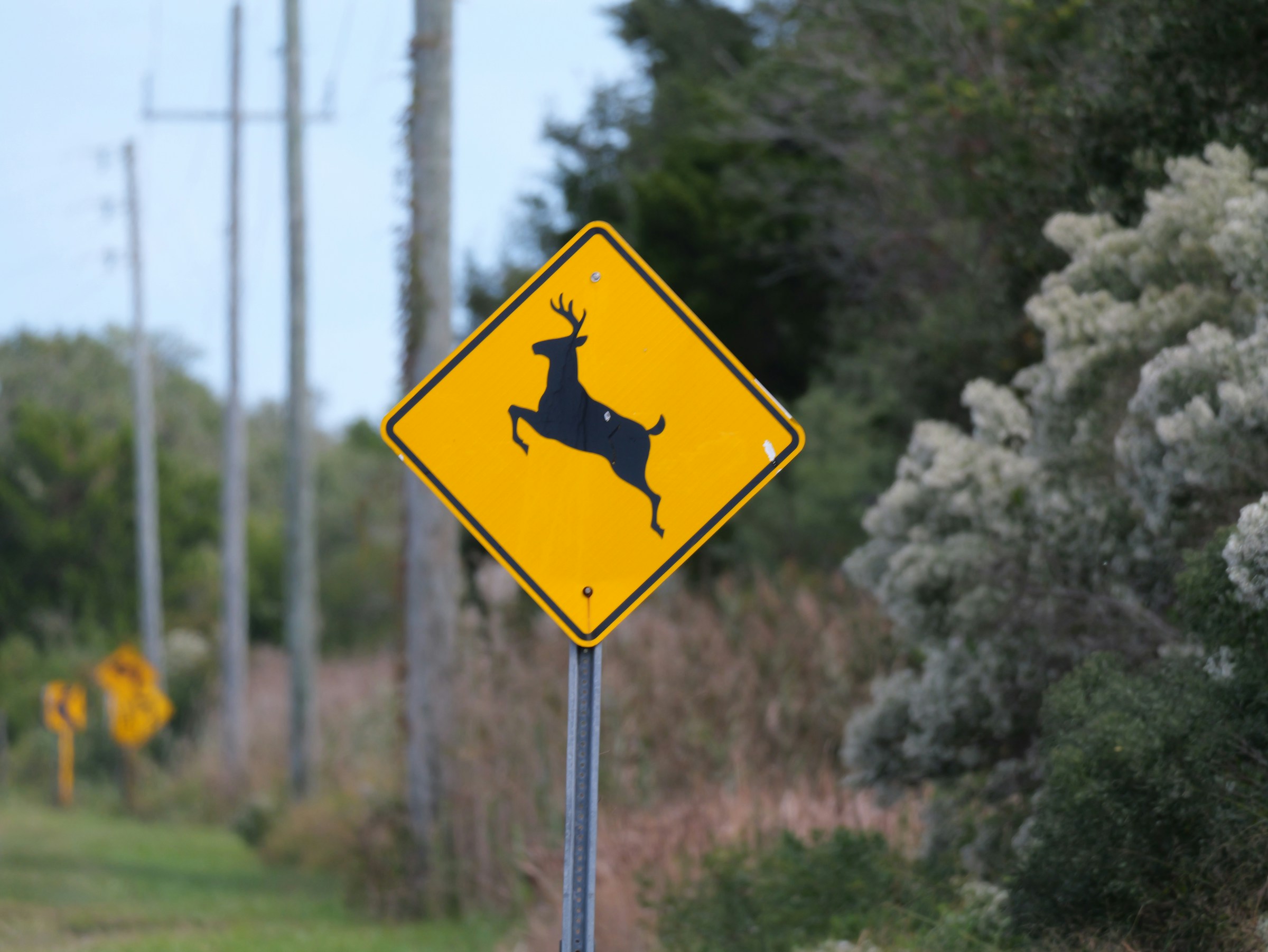 Strengthening Hazard Awareness on North Dakota’s Open Highways