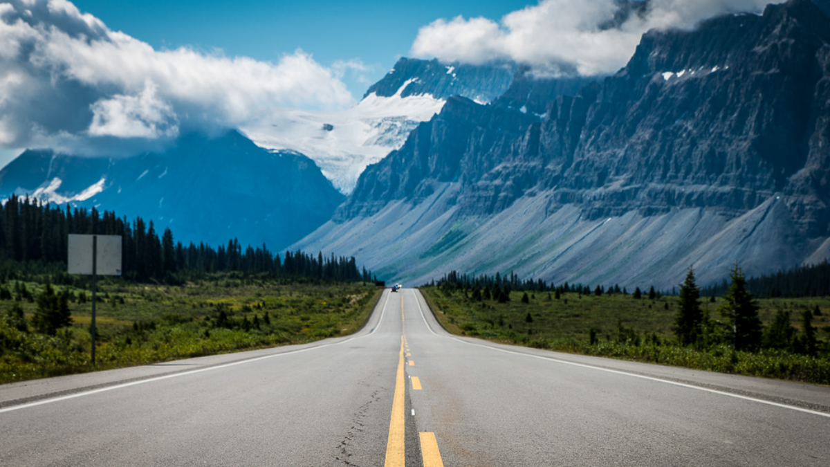 Stress-Free Traffic School Starts Here article image