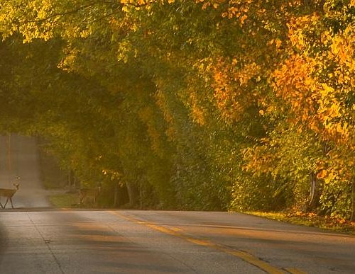 A Practical Guide for Kentucky Drivers Facing a Traffic Ticket
