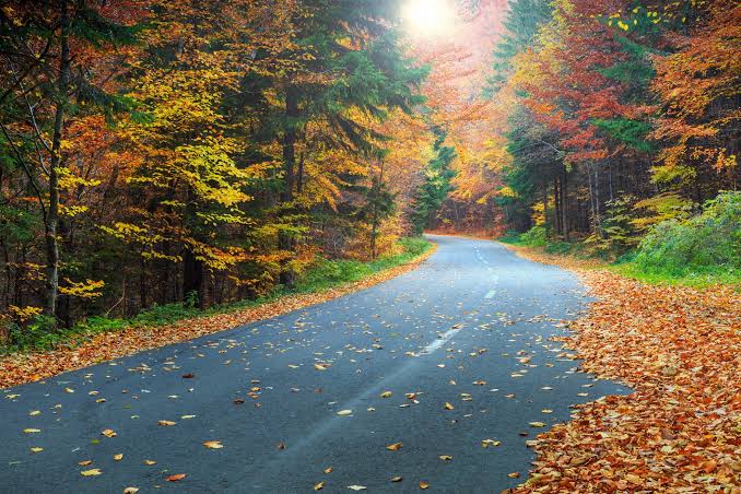 Moving to Illinois: Do You Need Adult Driver Ed at 18 to 20? article image