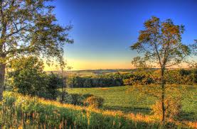 A Simple Path to Becoming a Licensed Driver in Illinois