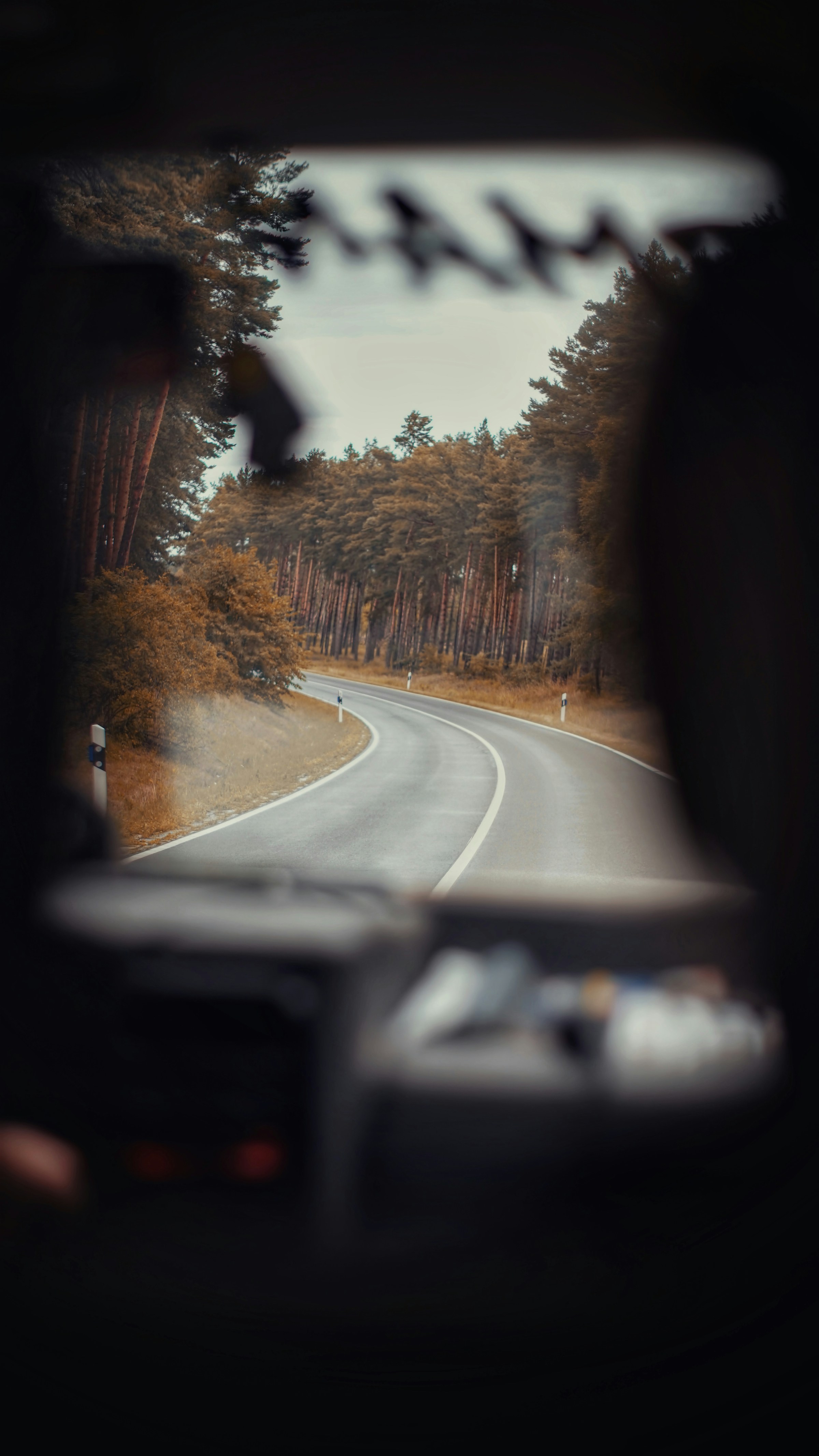 How Staying Calm Behind the Wheel Protects Your Freedom
