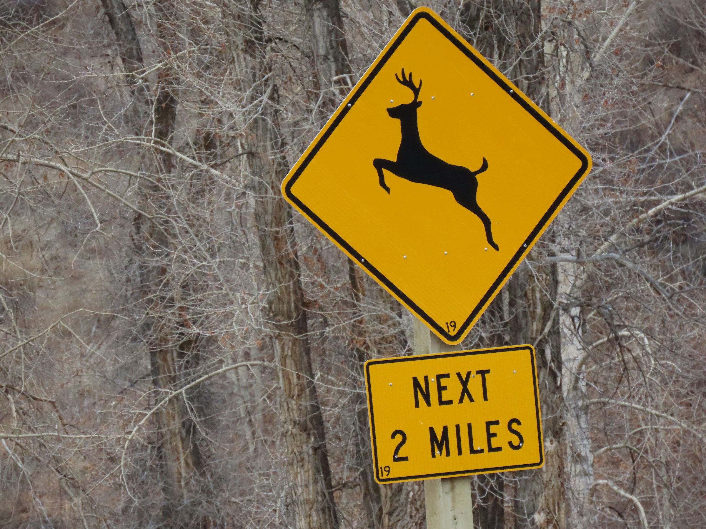 Wisconsin Refines Traffic School Requirements to Support Safer Driver Decisions