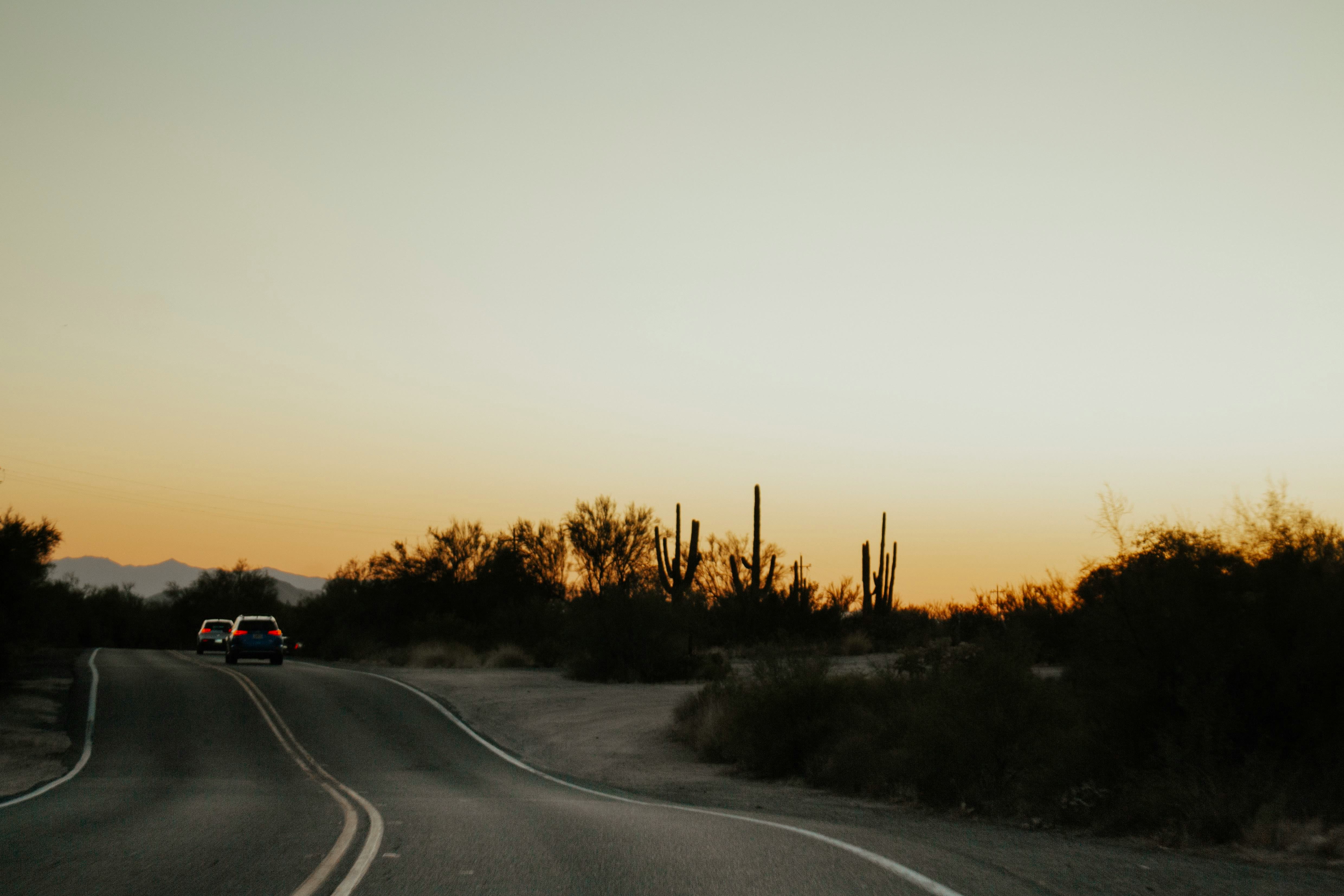 What to Do If You Get a Traffic Ticket in Arizona