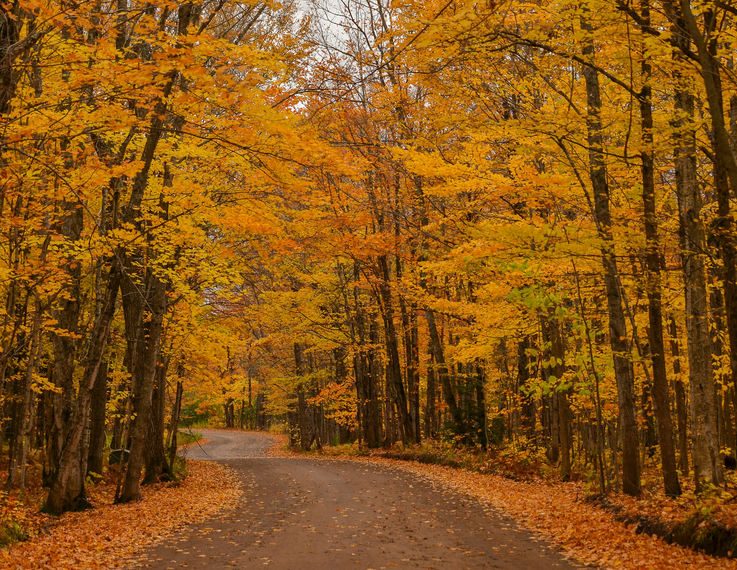 Maintaining Safe Speeds During Michigan’s Changing Seasons