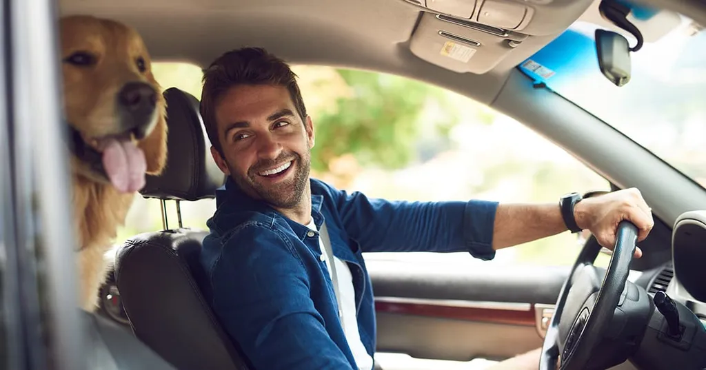 How California Traffic School Can Turn a Ticket Into a Smarter Move