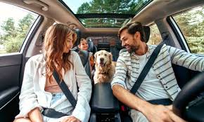 Hoosier Highways, Steady Habits: Driving with Purpose in Indiana