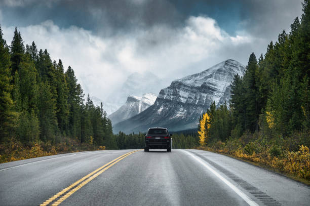 Show Me State Smarts: Driving with Confidence in Missouri