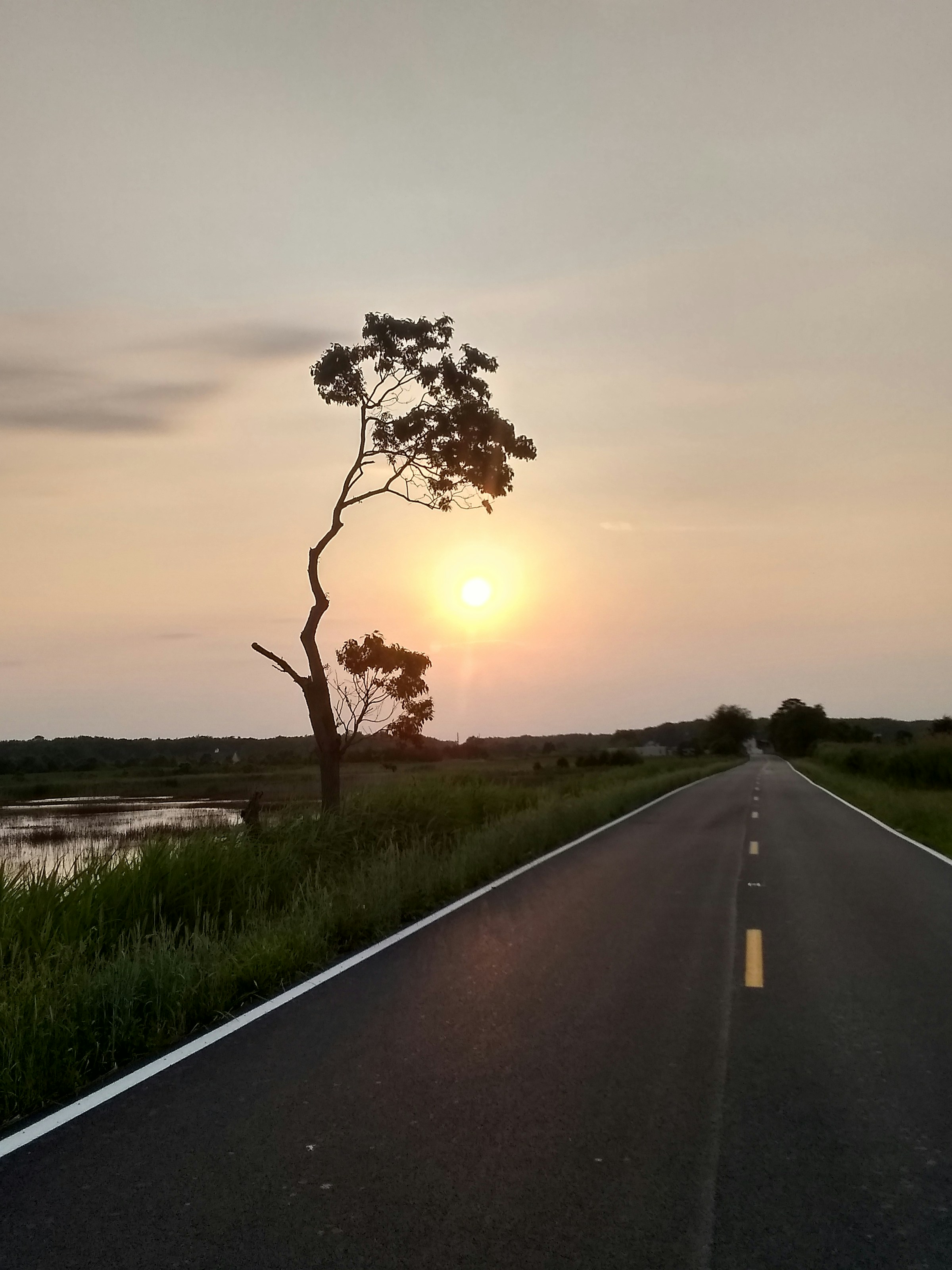 Navigating a Traffic Ticket in Delaware Without the Stress