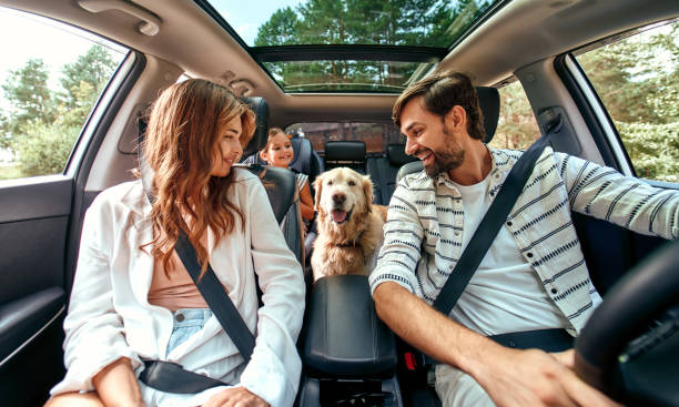 Open Roads, Clear Mind: Driving with Purpose in Idaho