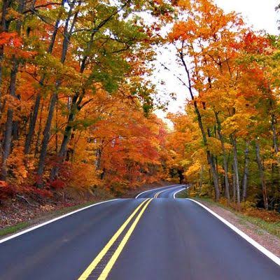 Will a Defensive Driving Course Lower My Car Insurance?