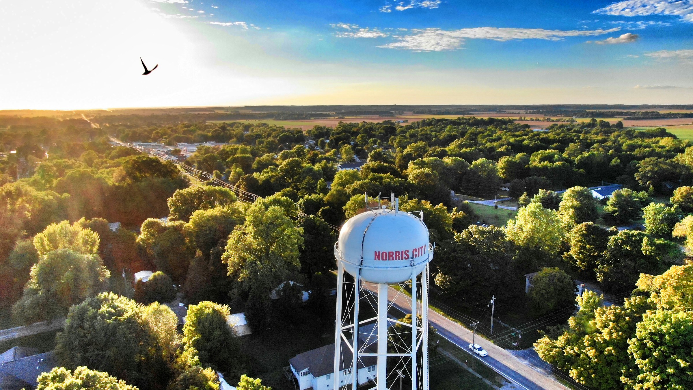 Illinois Adult Driver Education Online: The Convenient Way to Get Started
