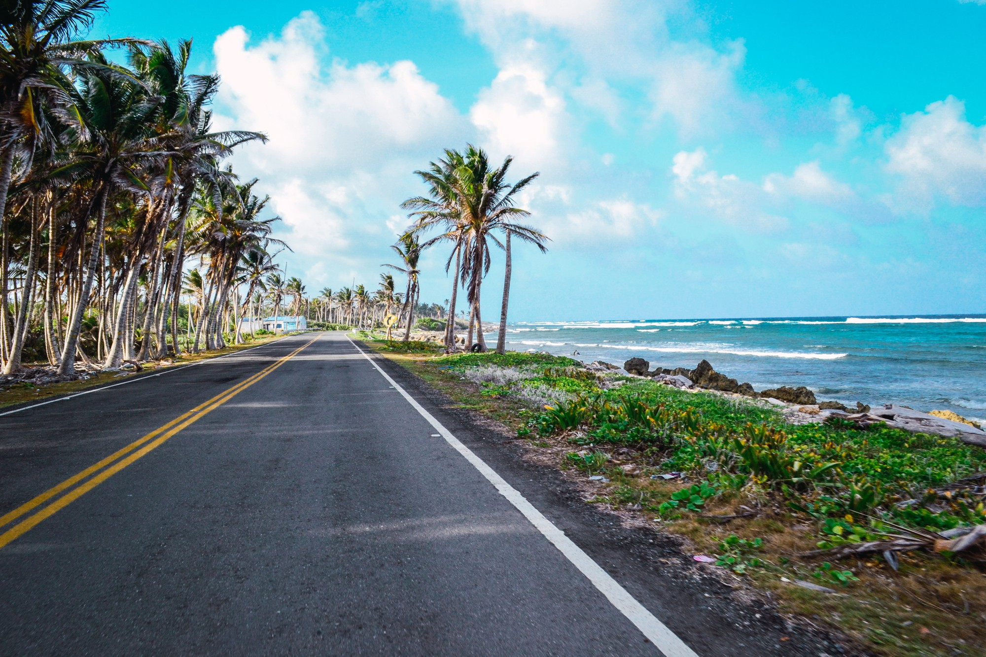 A Practical Guide for Hawaii Drivers Facing a Traffic Ticket