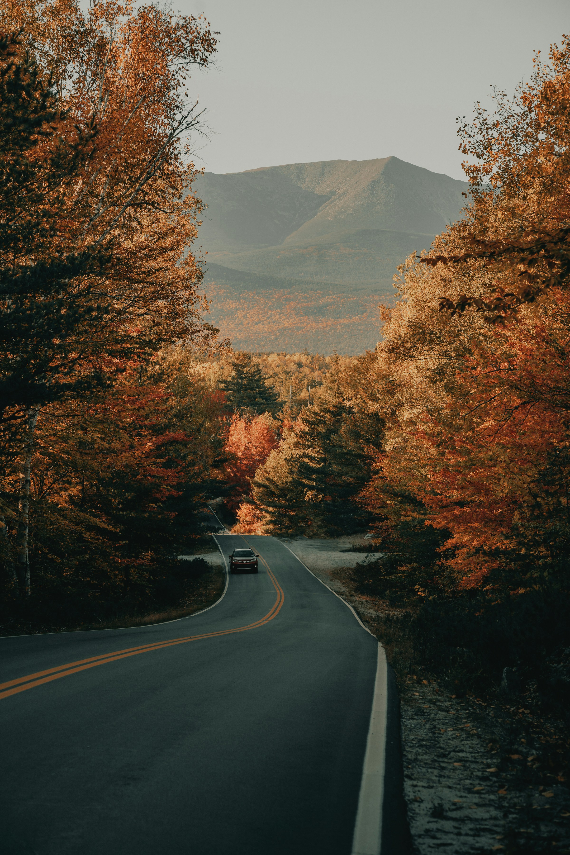 Handling a Traffic Ticket in Maine: A Practical Guide for Drivers