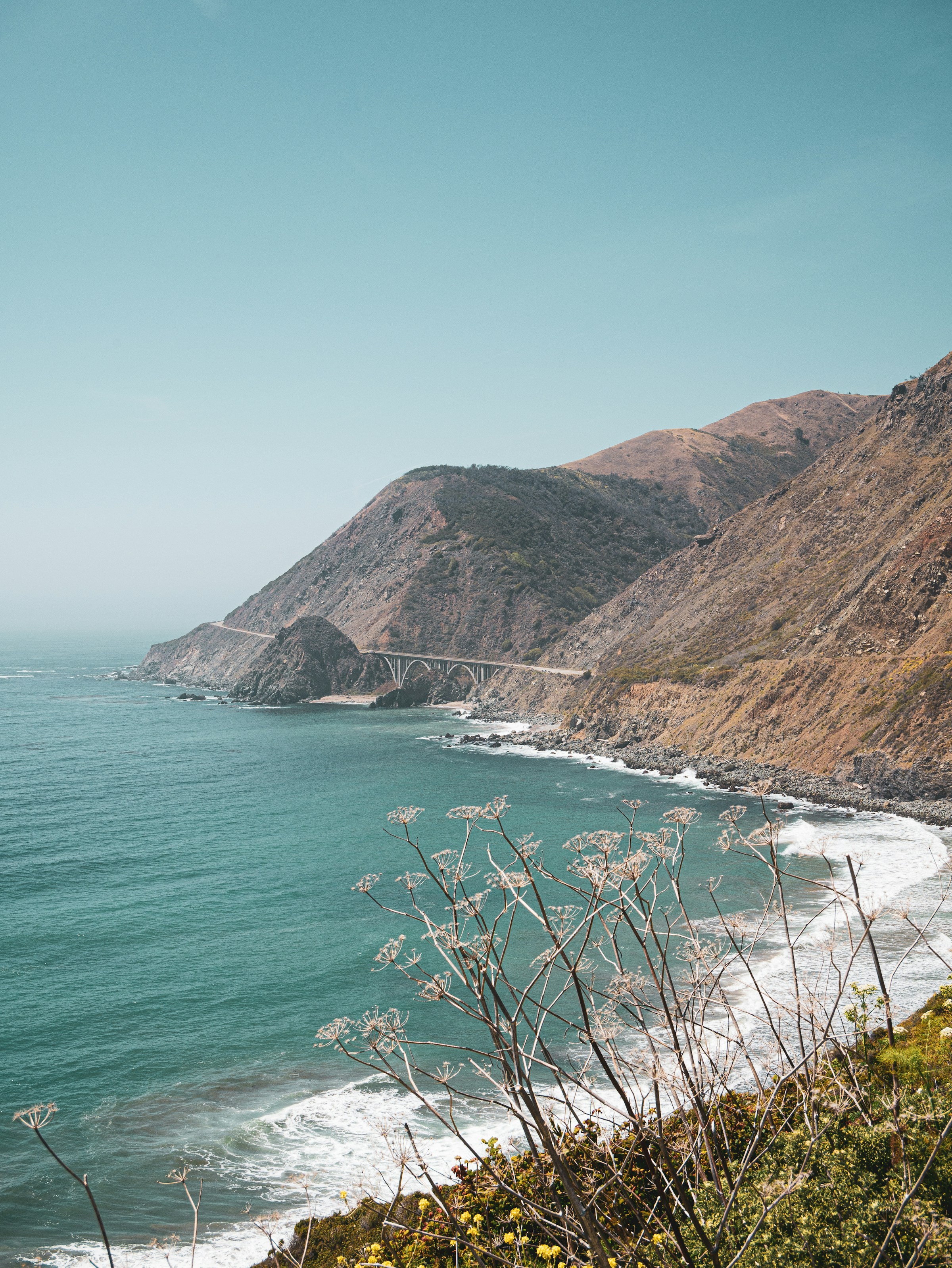 What to Do If You Get a Traffic Ticket in California