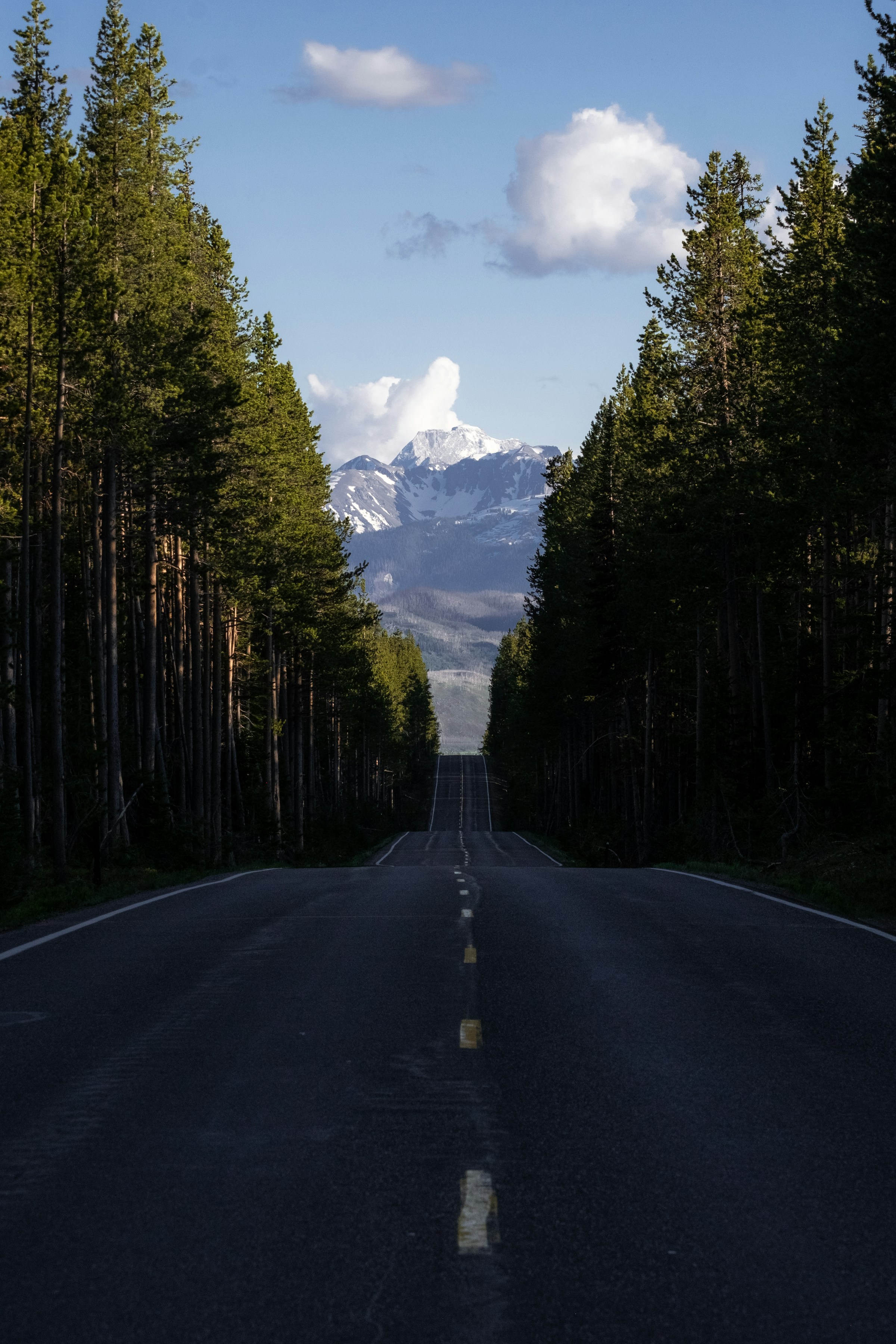 A Wyoming Driver’s Guide to Navigating Traffic Tickets With Confidence