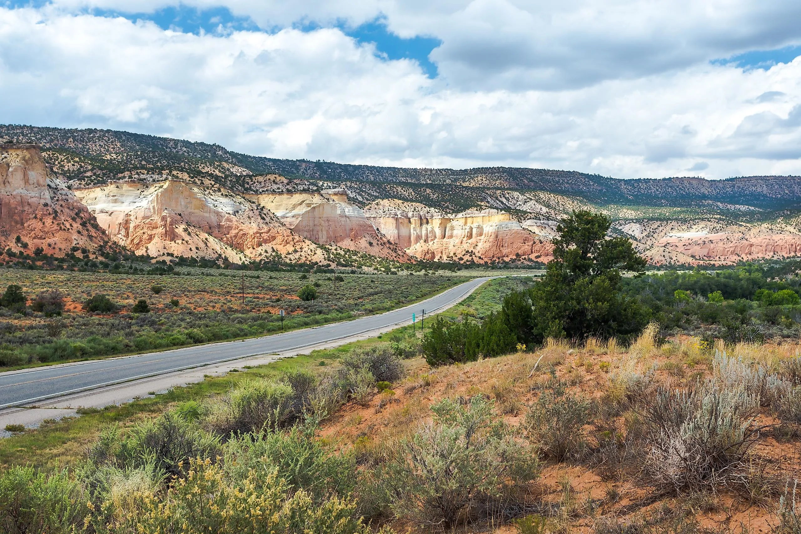 Navigating a Traffic Ticket in New Mexico: What Drivers Should Know