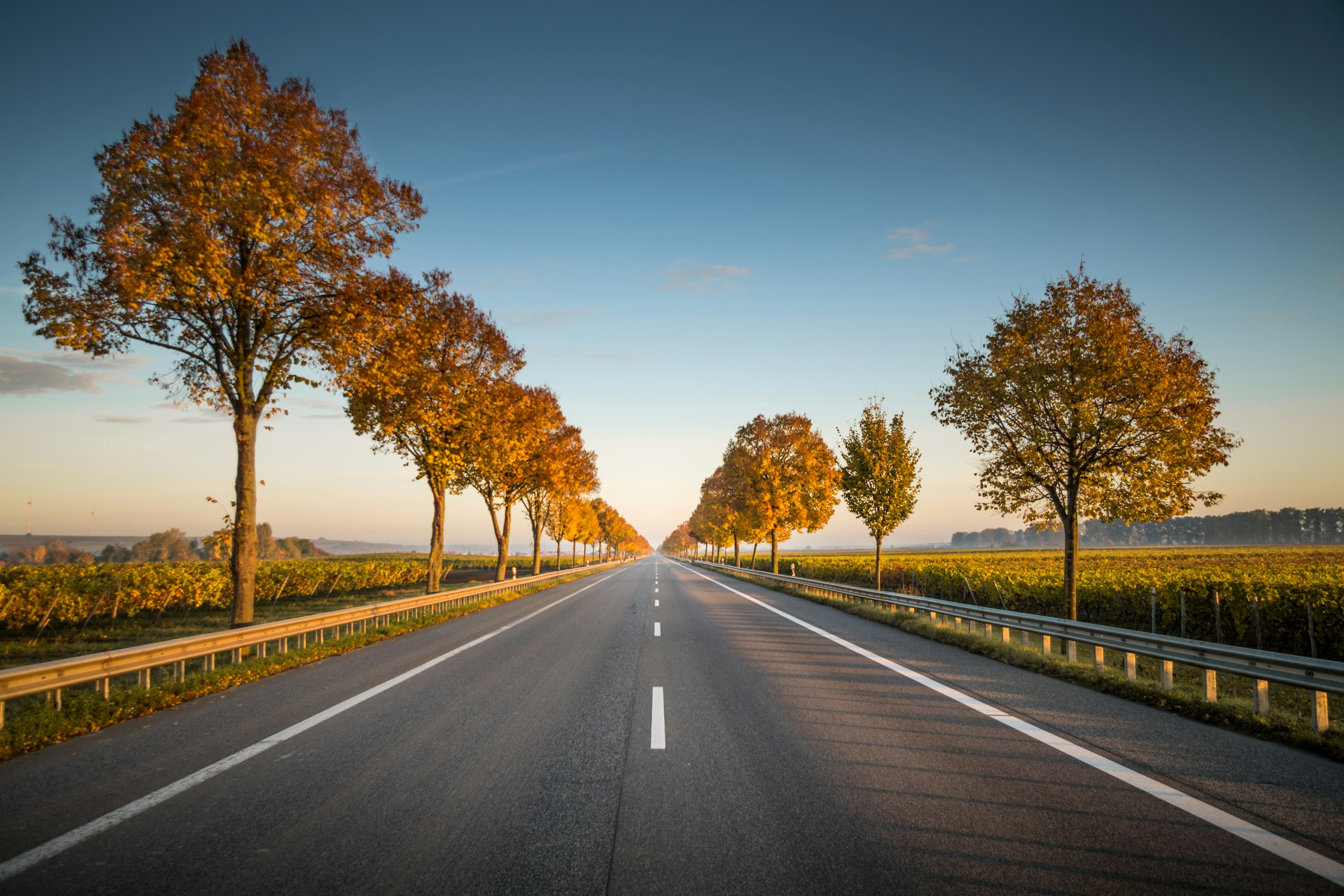 The Smart Way for Teens to Start Driving Safely Online