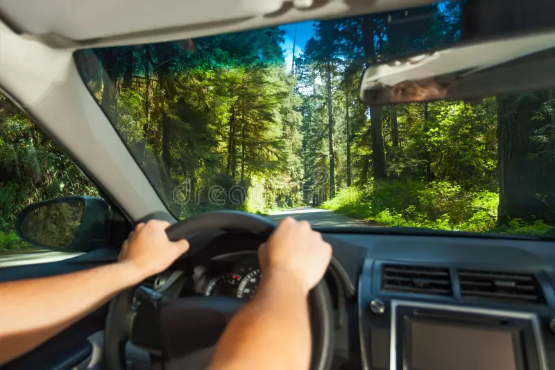 Clear Minds Open Roads Driving with Intention in Oregon